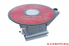 濮阳市洁净型煤推进现场会召开