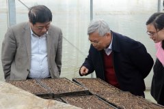 湖南春耕“战役”打响 农机蓄力成生产主力军