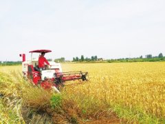 <b>湖北:全力打造五型“三夏”</b>