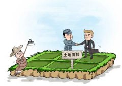 <b>资本强势下乡弥补“三农”历史欠账 企业和基层</b>